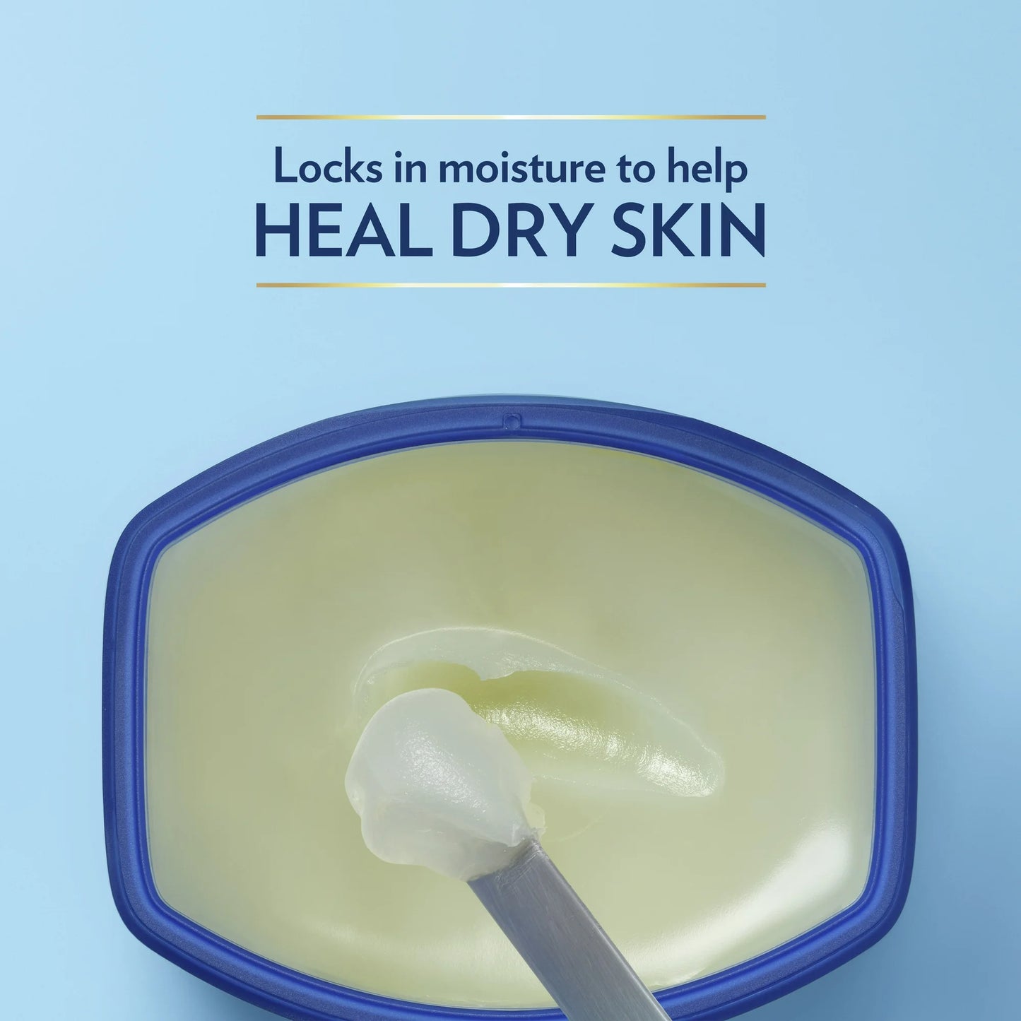Petroleum Jelly Skin Protectant, 13 oz