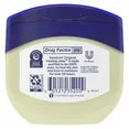 Petroleum Jelly Skin Protectant, 13 oz